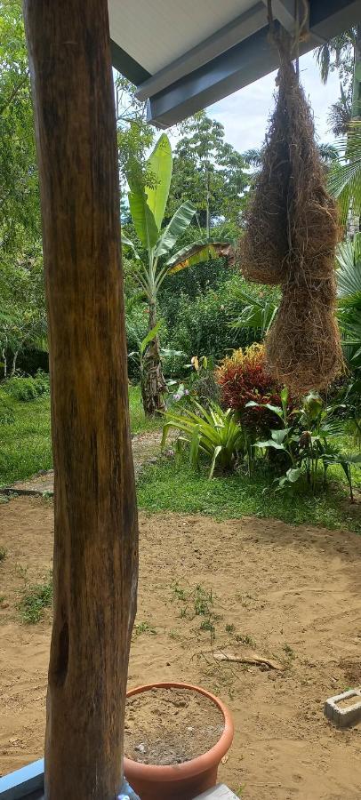 Vila Casa Katharina Cahuita Exteriér fotografie
